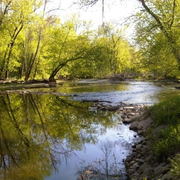 Elkhorn Creek