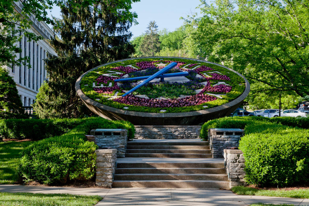 image of floral clock