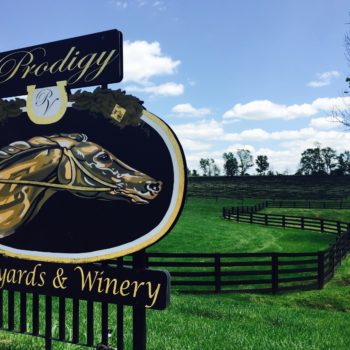 photo of outside the winery, showing black horse fencing winding through