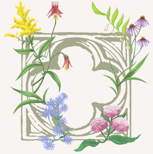Limewater logo, includes various wild flowers