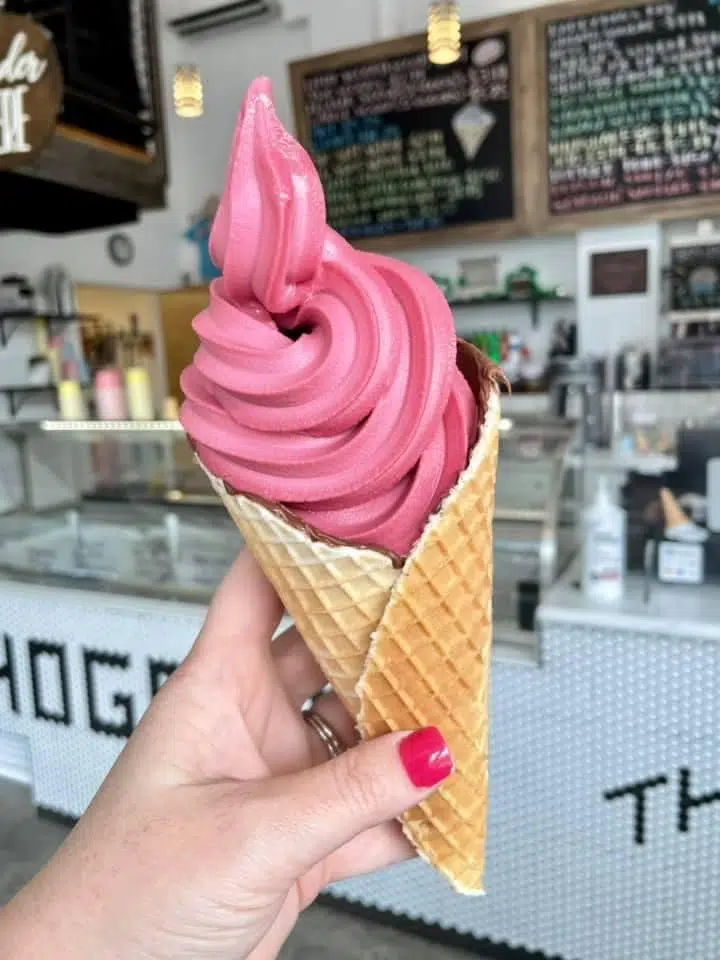 You Scream, I Scream, We All Scream for Hoggy’s Ice Cream – Visit ...