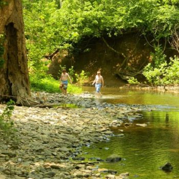2 boys walking in the creek atStill Water Campground