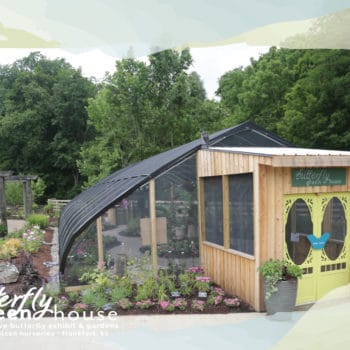 exterior shot of Butterfly greenhouse